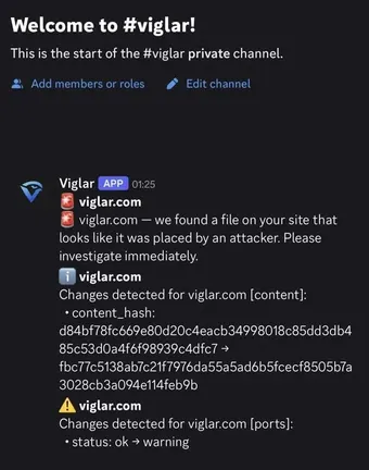 Example of a Viglar security alert in Discord