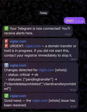 Example of a Viglar security alert in Telegram
